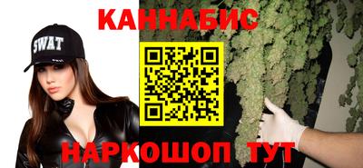 шишки Долгопрудный